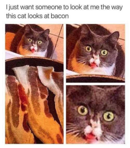 Stupid Bar Memes 61c1b8882ede