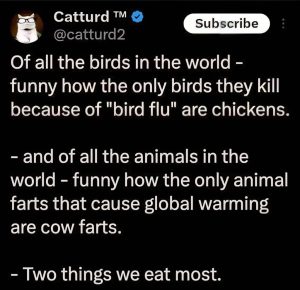 Stupid Bar Memes 6f3feffb43