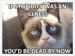 Stupid Bar Memes Lmpw5t5t