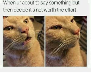 Stupid Bar Memes a0eD32Bss