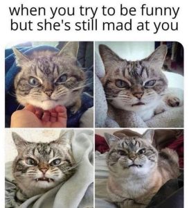 Stupid Bar Memes a2vABXEss