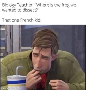 Stupid Bar Memes a2vAOQess
