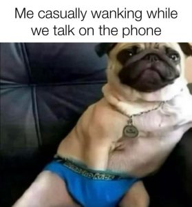 Stupid Bar Memes a7oB5owssb
