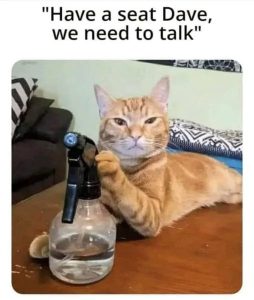 Stupid Bar Memes a7oBbgwssb