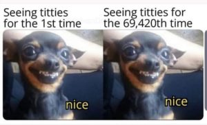 Stupid Bar Memes aAyLv1Ess