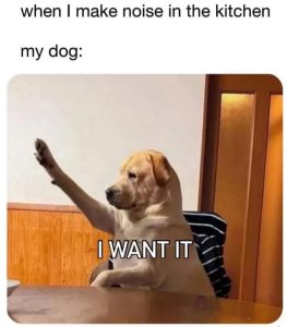 Stupid Bar Memes aBybVNAssb