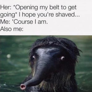 Stupid Bar Memes aD2qeVZss