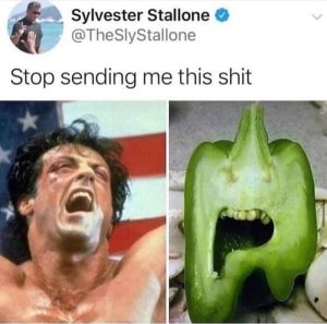 Stupid Bar Memes aE0jXbNssb