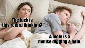Stupid Bar Memes aE0jyRpss