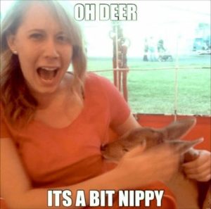 Stupid Bar Memes aKGyPrjssb