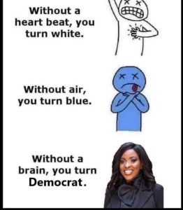 Stupid Bar Memes aKGygnbssb