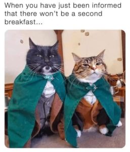 Stupid Bar Memes aLnOnPxssb