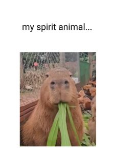 Stupid Bar Memes aMV0vK1ssb