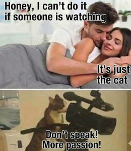 Stupid Bar Memes aO8OygEssb