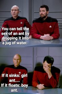 Stupid Bar Memes aO8n1PMss