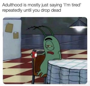 Stupid Bar Memes aO8nNmMss