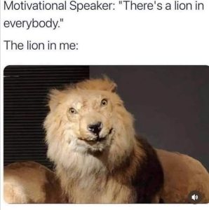 Stupid Bar Memes aQzD7d8 sb