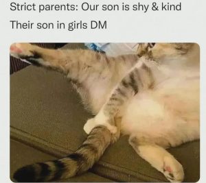 Stupid Bar Memes aVv8QVKssb