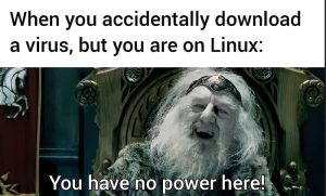 Stupid Bar Memes aVv954nss