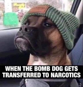 Stupid Bar Memes aW4eLRAssb