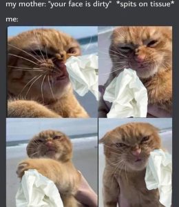 Stupid Bar Memes aXPzqZVssb