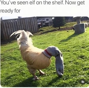 Stupid Bar Memes aYQvVAvssb