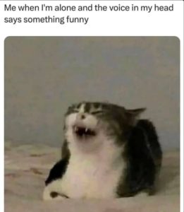 Stupid Bar Memes abAL8WOss