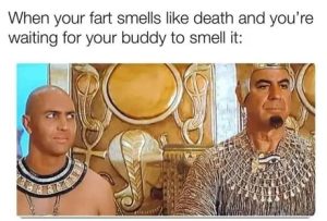 Stupid Bar Memes adBM63Nssb