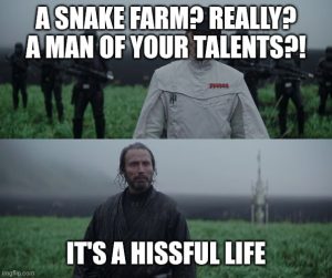 Stupid Bar Memes agmbyLKssb