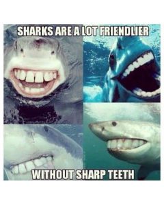 Stupid Bar Memes amoOR3jss