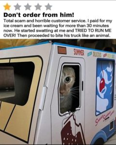 Stupid Bar Memes amoyNRXssb