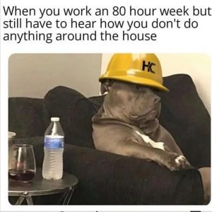 Stupid Bar Memes an70n9z sb