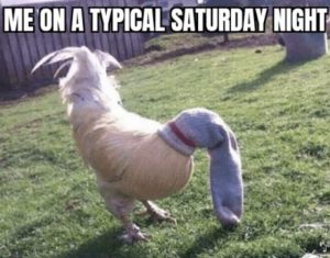 Stupid Bar Memes an73MQBssb