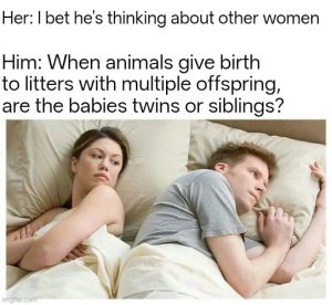 Stupid Bar Memes aoy6gLmssb