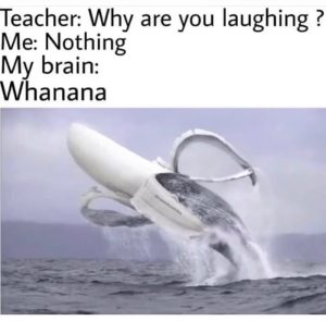 Stupid Bar Memes aoyGKDnssb