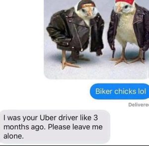 Stupid Bar Memes aqyV8oPssb