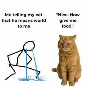 Stupid Bar Memes aryDxnpssb