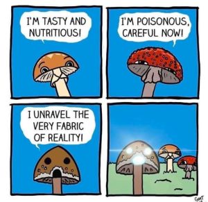 Stupid Bar Memes avyBvZbssb