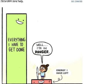 Stupid Bar Memes awy9L4Qssb