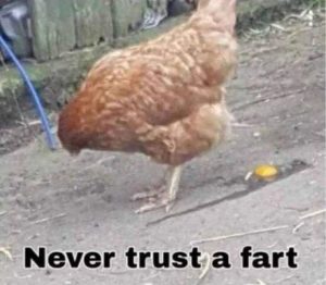 Stupid Bar Memes ayNmm1Yss