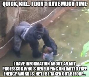 Stupid Bar Memes azxzLwBssb