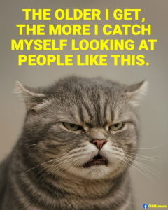 Stupid Bar Memes c6541648bae60