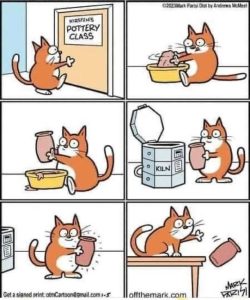 Stupid Bar Memes catspkesknocksoff