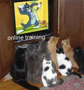 Stupid Bar Memes cningstomsjerr