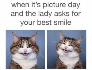 Stupid Bar Memes d56454467c7