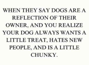 Stupid Bar Memes dogsrefsspeople