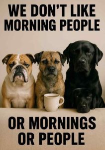 Stupid Bar Memes dogsscmorningspe