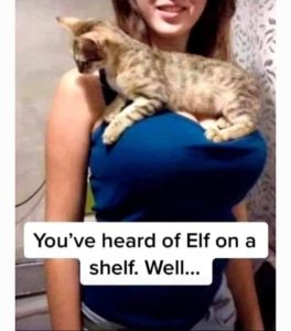 Stupid Bar Memes e20e219c