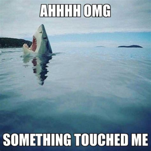 Stupid Bar Memes e2728e0eb3
