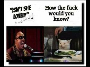 Stupid Bar Memes ece0488048